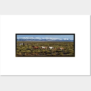 Home on the Range Posters and Art